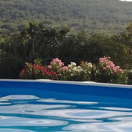 De La Haute Vallee De L'aude *